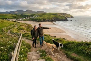 Best Dog-Friendly Destinations in the UK for a Perfect Getaway