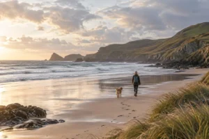 Best Dog-Friendly Beaches in Wales: 7 Coastal Gems to Explore